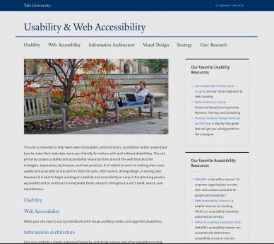 services usability accessibility web experience user